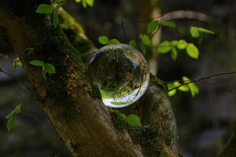 Enchanted Objects