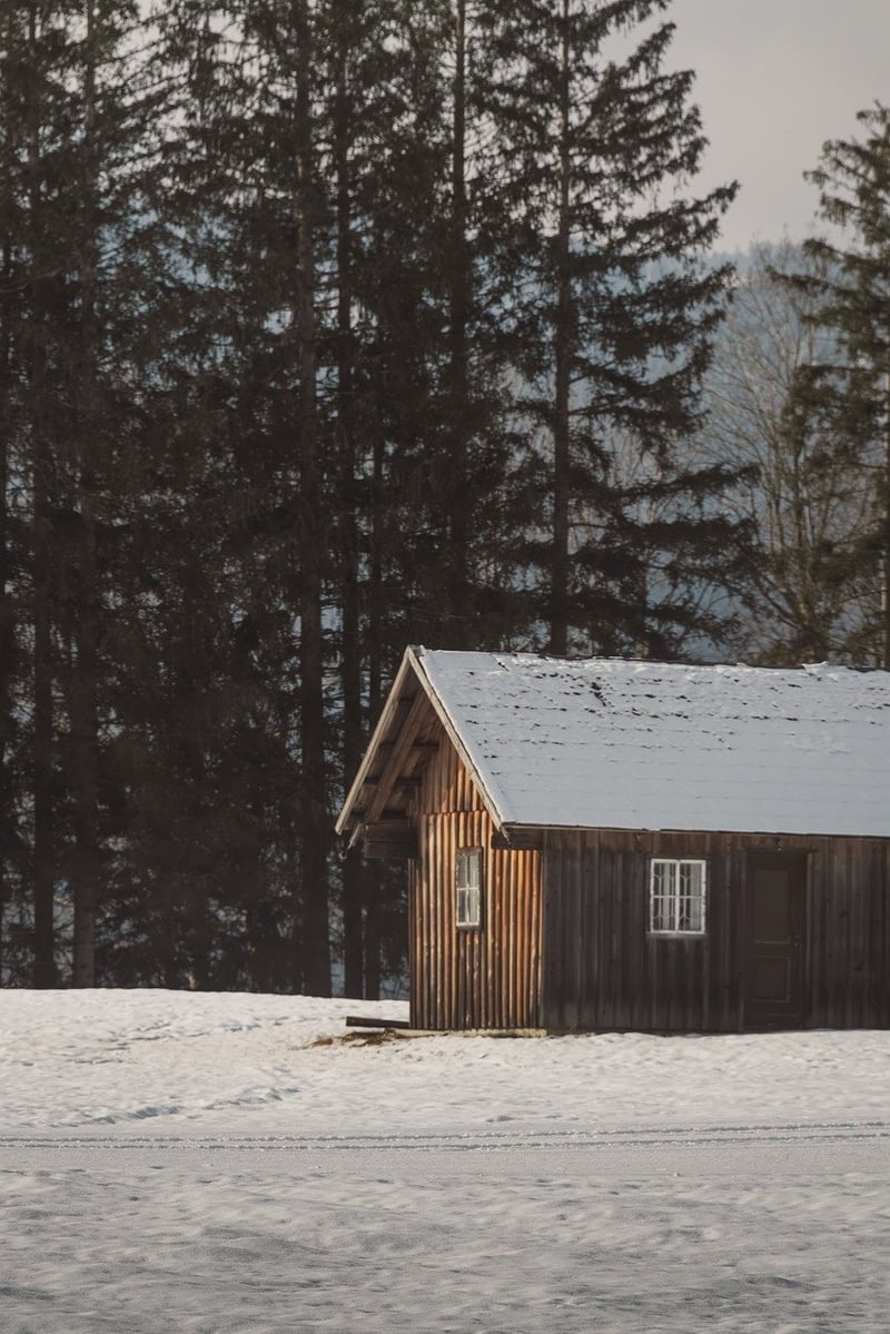Whimsical Escapes