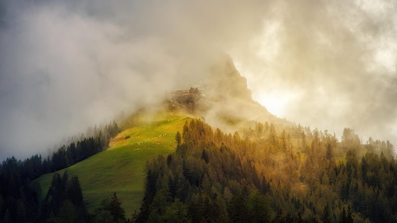 Mystical Forest